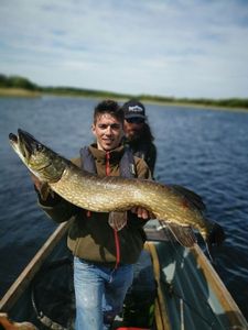 Northern Pike