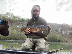 Mirror Carp