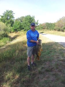 Common Carp