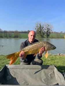Mirror Carp