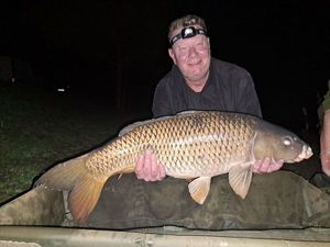 Common Carp