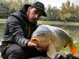 Common Carp