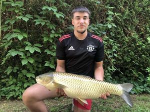 Grass Carp