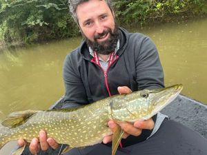 Northern Pike
