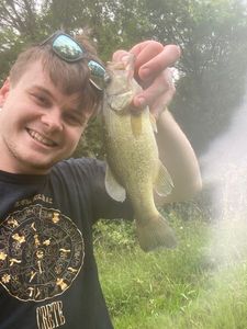 Smallmouth Bass