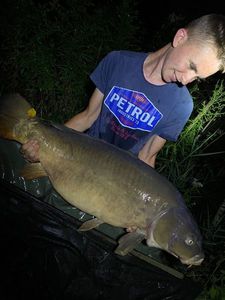 Mirror Carp