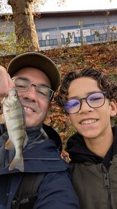 European Perch
