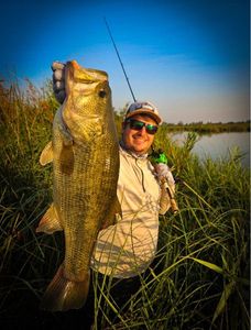 Largemouth Bass