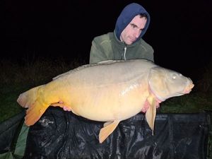 Mirror Carp