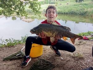 Mirror Carp
