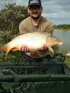 Common Carp