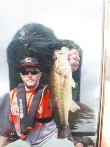 Largemouth Bass