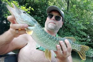 Northern Pike
