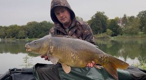 Mirror Carp