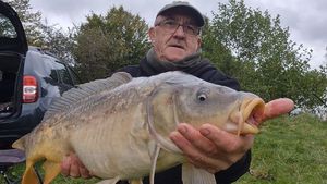 Mirror Carp