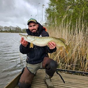 Northern Pike