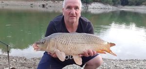 Common Carp