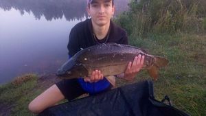 Mirror Carp