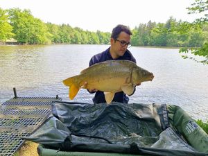 Mirror Carp