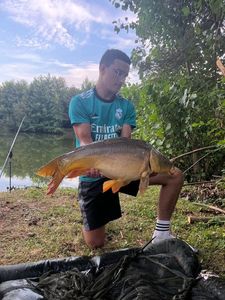 Mirror Carp
