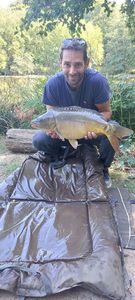 Mirror Carp