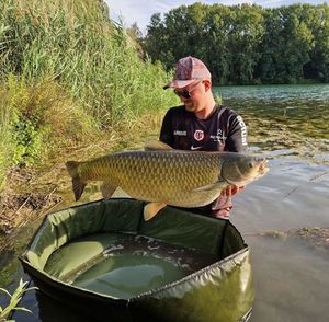 Grass Carp