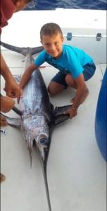 Swordfish