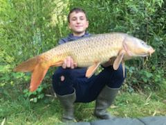 Common Carp