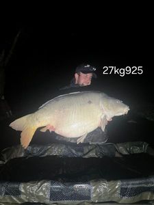 Mirror Carp