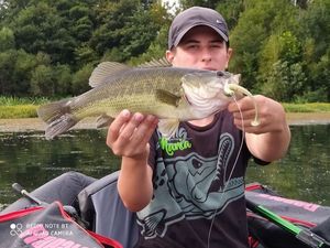 Largemouth Bass