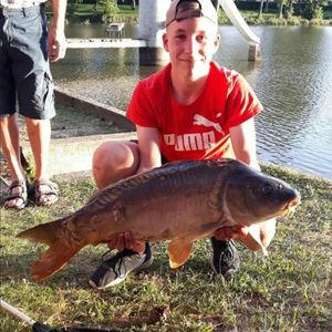 Mirror Carp