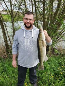 Zander