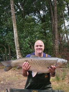 Grass Carp