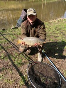 Common Carp