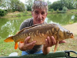 Mirror Carp