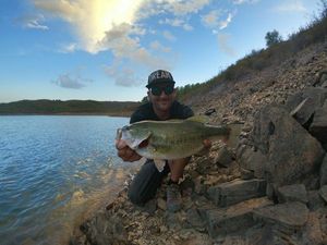 Largemouth Bass