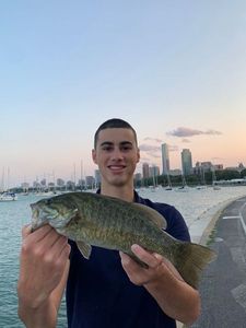 Smallmouth Bass