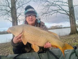 Common Carp