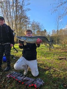 Northern Pike