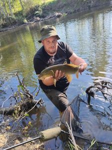 Barbel