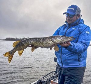 Northern Pike