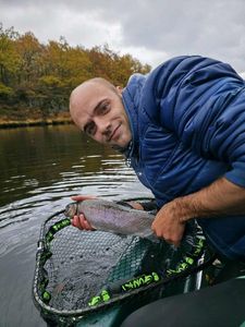 Rainbow Trout