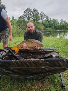 Common Carp