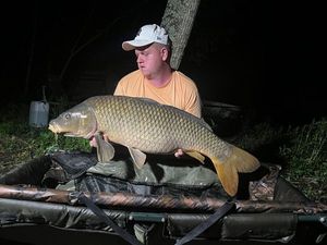 Common Carp