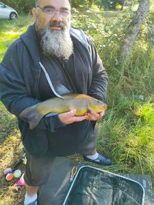 Tench