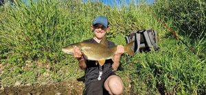 Barbel