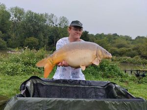 Mirror Carp