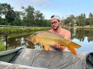 Common Carp