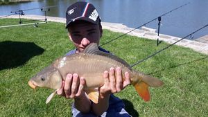 Leather Carp
