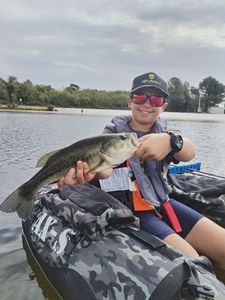 Largemouth Bass